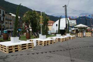 Paletten-Insel mit Thuja 0